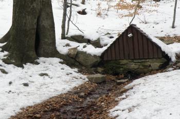 Kamzičí studánka (© Michal Hipman, 02/2015)
