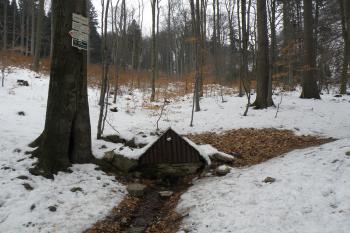 Kamzičí studánka (© Michal Hipman, 02/2015)
