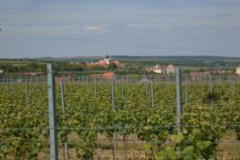 pohled na zámek od výklenkové kaple Panny Marie (lipová ulice - Kačisdorfská cesta) (© Jaroslav Špiroch  05/2025)