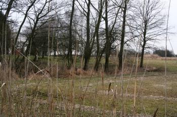 Hrana tvrziště (© Petr Nožička 03/2015)