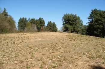 Slepičí vršek (© Jiří Špaček, 04/2012)
