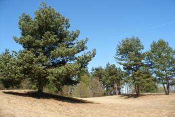 Slepičí vršek (© Jiří Špaček, 04/2012)