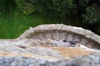 Krásenský vrch (© Tomas Pavlata 09/2005)