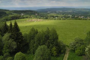 výhled z rozhledny (© Daniela Endrštová, 6/2006)