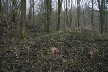  (© Petr Nožička 02/2015)