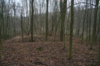  (© Petr Nožička 02/2015)