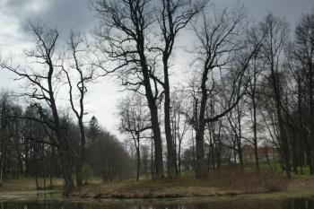  (© Václav Tomášek, 04/2009)