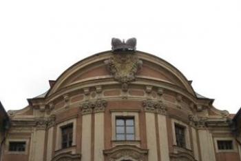  (© Nikolča, 10/2008)