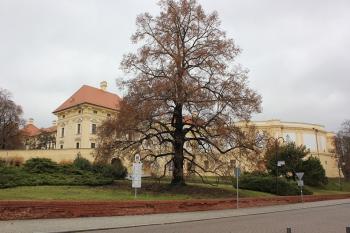  ( © Luděk Vláčil 11/2016)