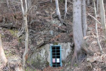 Ústí štoly ( © Jan Večeřa 04/2015)