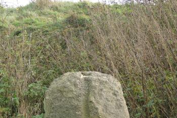 menhir (© Marek Lipavský, 04/2015)