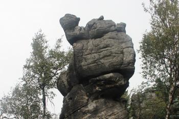  (© Luděk Vláčil, 08/2014)