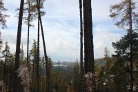 Štrbské pleso