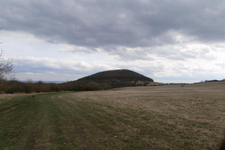 Líska