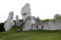 Ogrodzieniec