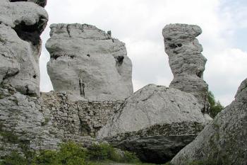 bašta v jižním koutě předhradí ( © Pavel Zany Komárek 8/5/2004)