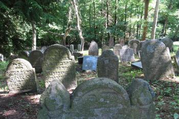 Židovský hřbitov, část pod márnicí (© Pavel  Vlach, 06/2014)