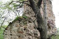 Rożnów - hrad