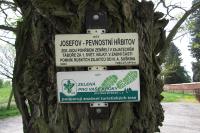 vojenský pevnostní hřbitov