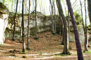 horní hrad od severovýchodu ( © Pavel Zany Komárek 7/5/2004)