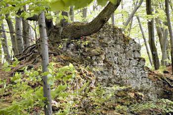 vnější líc severozápadní hradby horního hradu ( © Pavel Zany Komárek 7/5/2004)