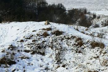 Trigonometrický bod ve vrcholové části jádra hradu ( © Petr Turyna 02/2006)