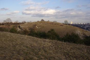 Děvín (© Jan Laurin, 12/2007)