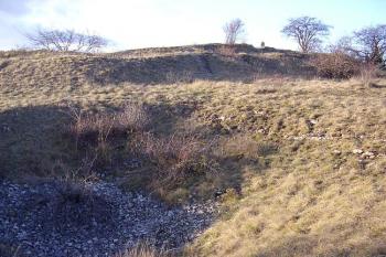 Děvín (© Jan Laurin, 12/2007)