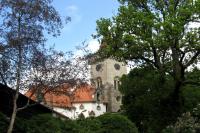kostel sv. Martina