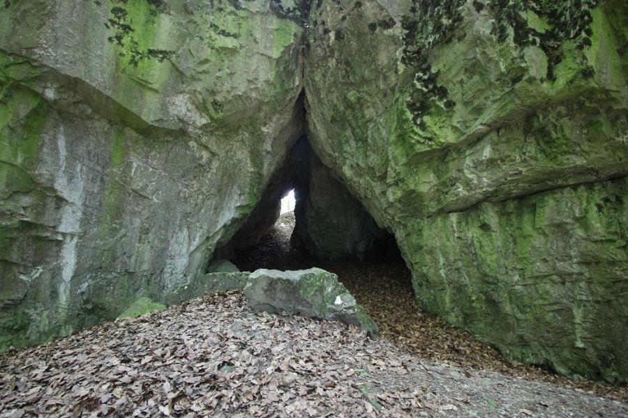 Průchodnice