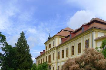 Svojšín (© Václav Kapr, 07/2015)