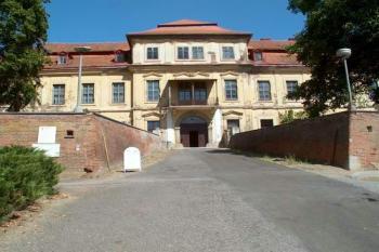 Svojšín (2003 © Václav Hodek)