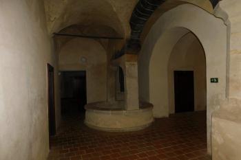  (© Milan Caha  07/2021)