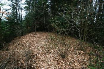 Přehradí (© Petr Nožička 04/2016)