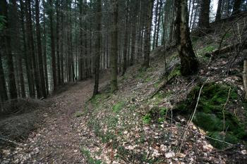Okružní příkop hradu (© Petr Nožička 04/2016)