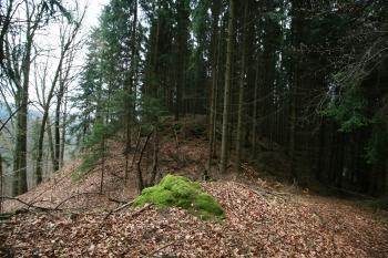 Jádro hradu přes šíjový příkop (© Petr Nožička 04/2016)