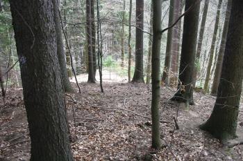 ukončení hradní ostrožny na jihu, kde se svažuje k říčce Březná (© D Dohňanský, 11/2017)