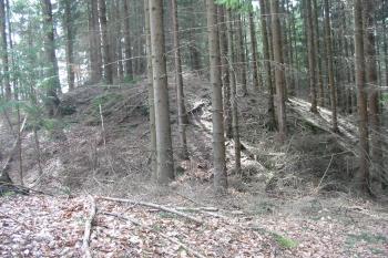 hradní jádro (© D Dohňanský, 11/2017)
