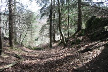 hradní příkop na přístupové severní straně (© D Dohňanský, 12/2017)