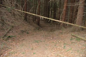 okružní příkop na západě (© D Dohňanský, 11/2017)