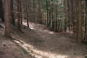 okružní příkop na sz. (© D Dohňanský, 11/2017)