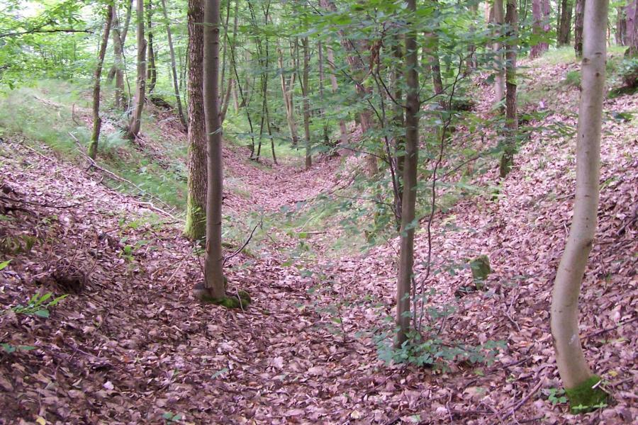 Městisko