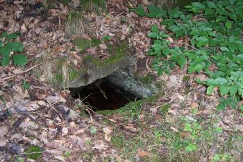 Studánka na Městisku (10) (© Ivo Rozehnal 06/2015)