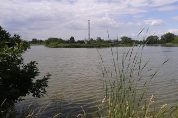  ( © Ivo Rozehnal 06/2015)