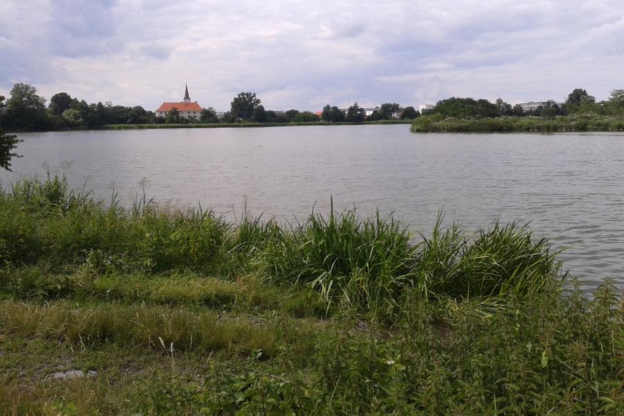 národní přírodní památka Chropyňský rybník