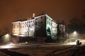 Nelahozeves - zima, noční (© Jan Pospisil, 02/2013)
