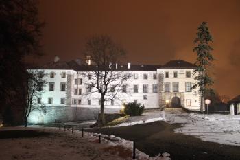 Nelahozeves - zima, noční (© Jan Pospisil, 02/2013)