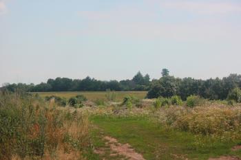  ( © Luděk Vláčil 07/2015)