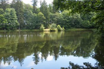 Dolní parkový rybník s ostrůvkem (© Jiří Špaček, 06/2015)