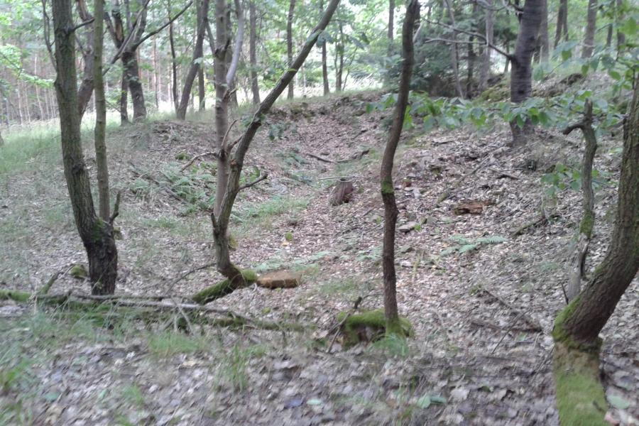 Dubový kopec